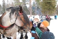 2012-02-14_Ferie_na_5_-_Kulig_[09].jpg